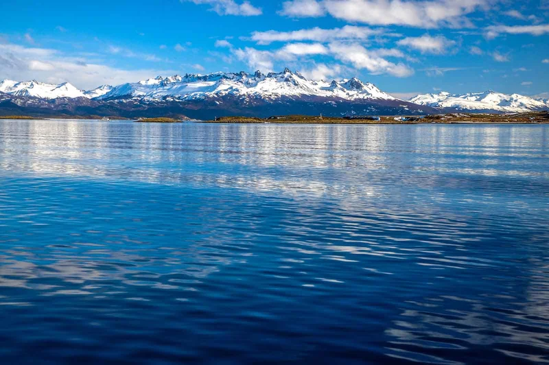 Antarctica, South Georgia, and the Falklands