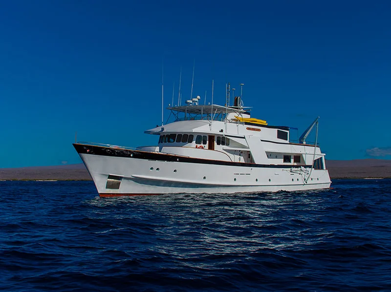 Beluga |  galapagos Cruise