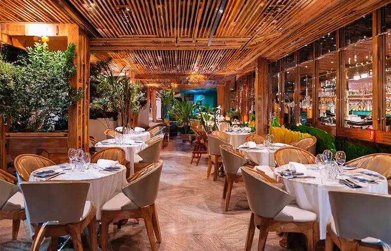 The Best Restaurants in Medellín: A Gastronomic Journey