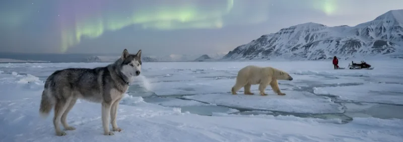 Life in Longyearbyen: Thriving in Arctic Extremes Life in Longyearbyen: Thriving in Arctic Extremes