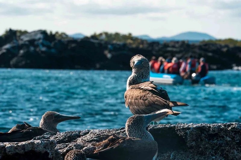 Española Island Tour