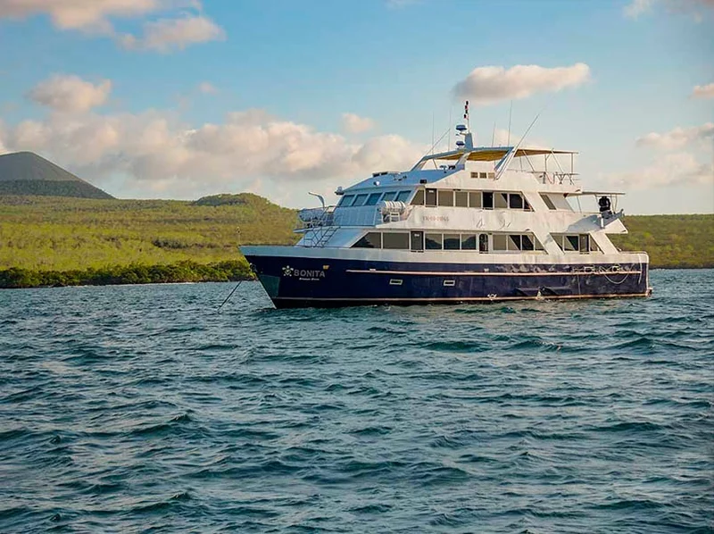 Bonita |  galapagos Cruise