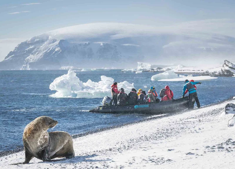 South Georgia and Antarctic Peninsula: Penguin Safari