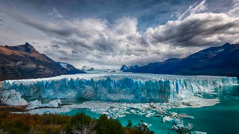 Calafate | Patagonia