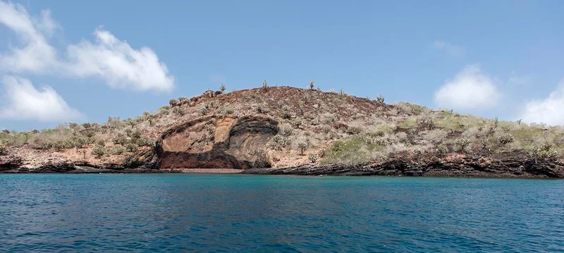 Islote Champion | Galapagos Islands