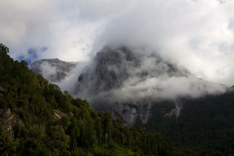 Alerces  | Patagonia