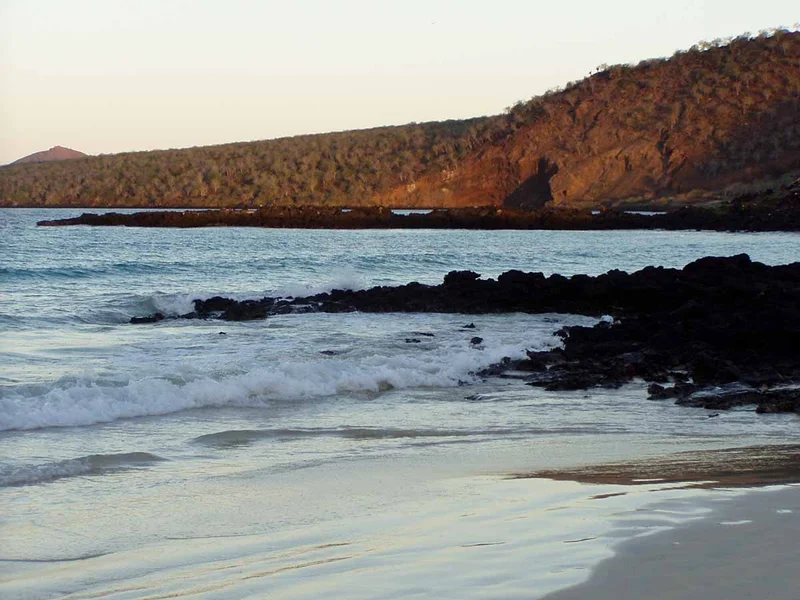 Punta Cormorant | Galapagos Islands Punta Cormorant | Galapagos Islands