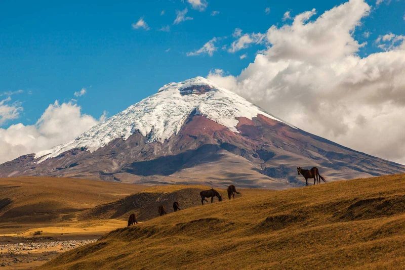 Cotopaxi National Park | Ecuador