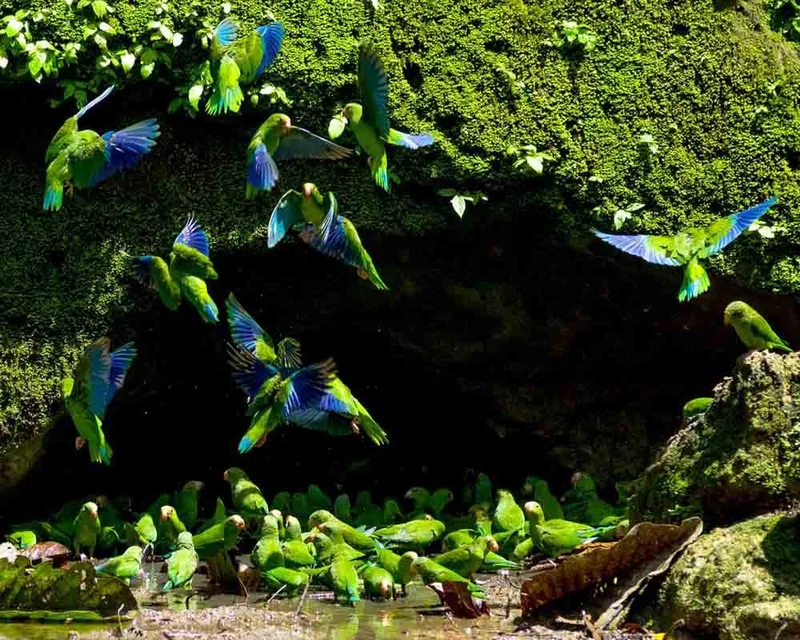 Wildlife | Ecuador