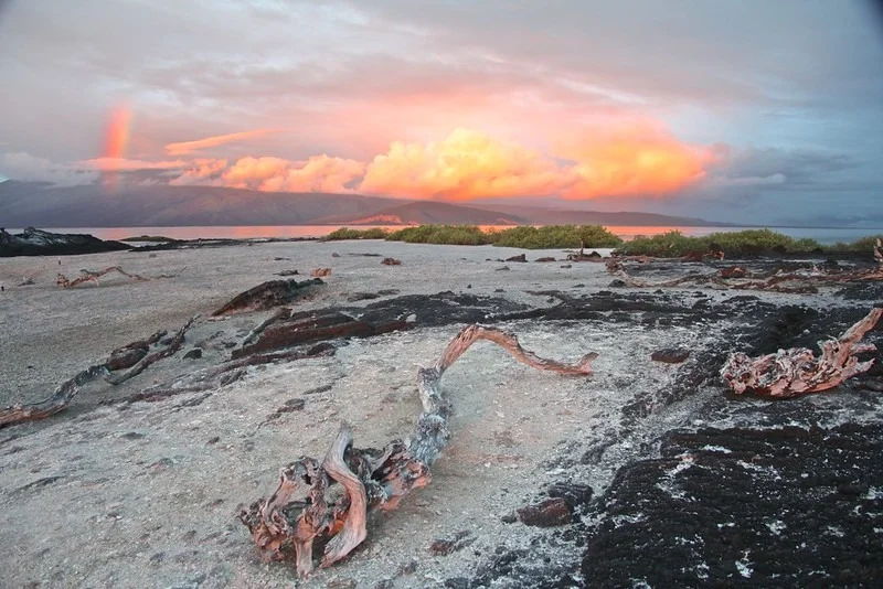 Itinerary West Galapagos