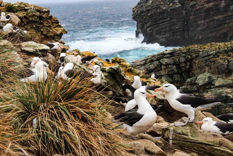 Antarctica and Patagonia: Legendary Ice and Epic Fjords