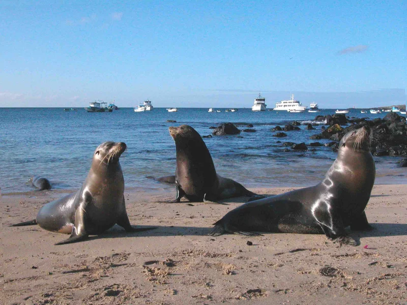 Galapagos 8 day southern islands cruise on board the Endemic