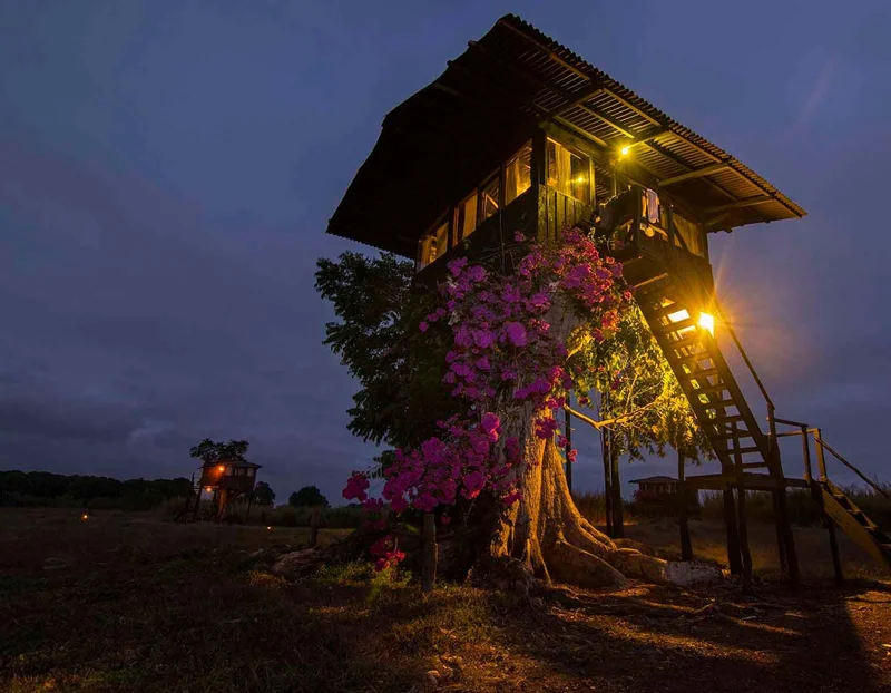 Galapagos Majic Camp | Suite