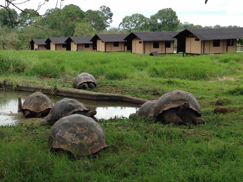 Galapagos Majic Camp | Wildlife