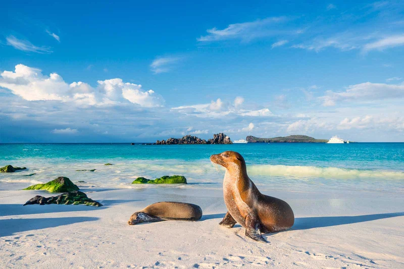 Española | Galapagos