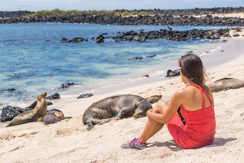 Best time to visit Galapagos