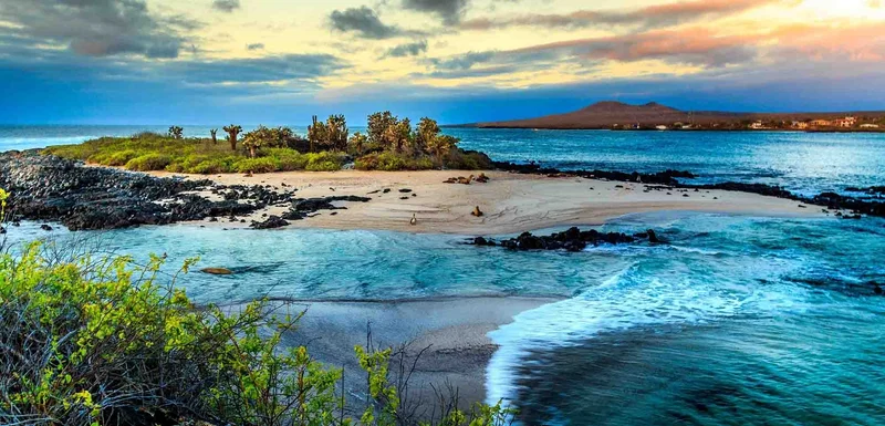 10 Interesting Facts About the Galapagos Islands