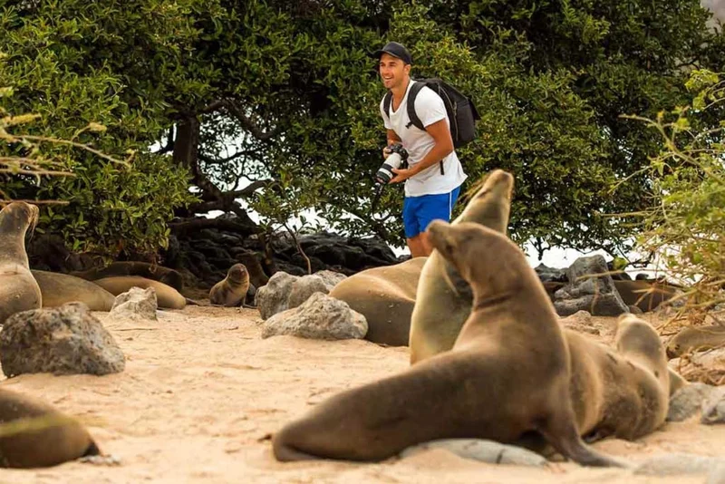 La Loberia | Sea lions | Galapagos Islands La Loberia | Sea lions | Galapagos Islands