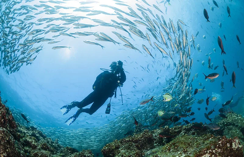 Galapagos Islands