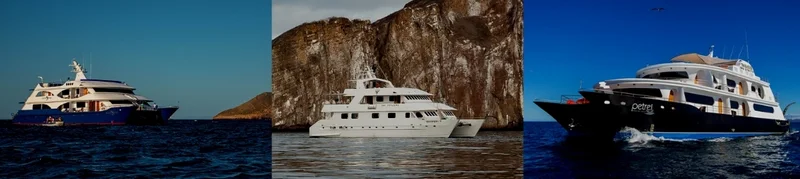 Best Galapagos Islands Tours for Seniors: Luxury Options in 2026 Best Galapagos Islands Tours for Seniors: Luxury Options in 2026