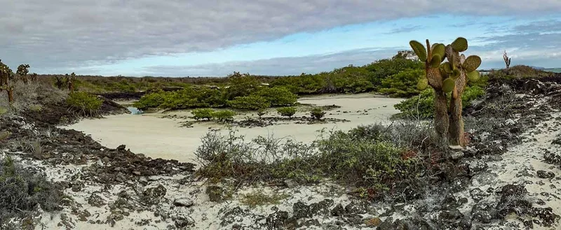 Explore the Secluded Beauty of Garrapatero Beach in the Galapagos Islands