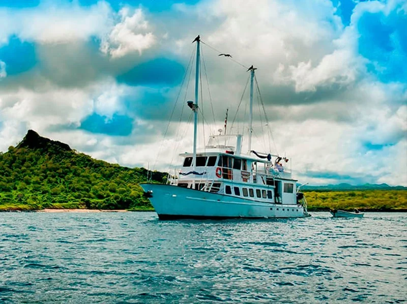 Golondrina |  galapagos Cruise