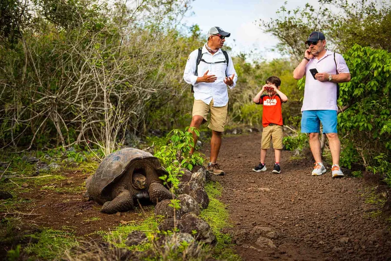 Tourists hiking with a giant tortoise in the Galapagos Islands