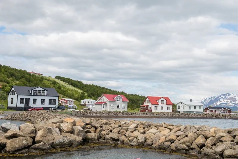 Iceland's Wild West Coast to East Greenland