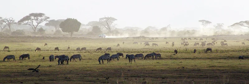 A Nature Lovers’ Paradise: Five Amazing Honeymoon Destinations