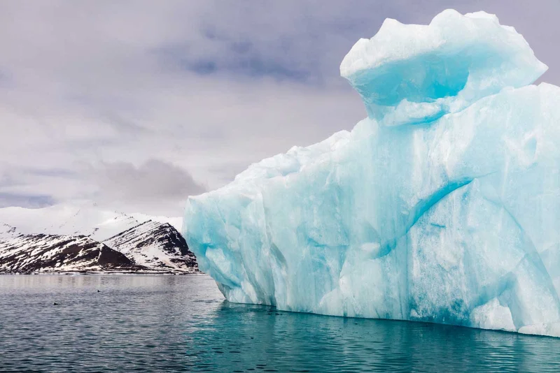 Arctic Ocean Expedition, Fair Isle - Jan Mayen - Ice Edge - Spitsbergen - Birding