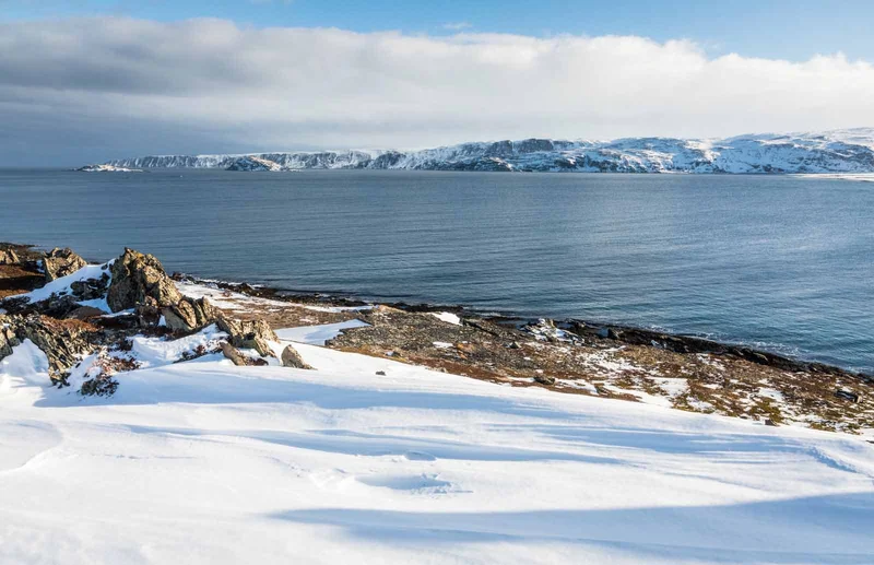 Svalbard in Spring: Arctic Wildlife, Light and Ice