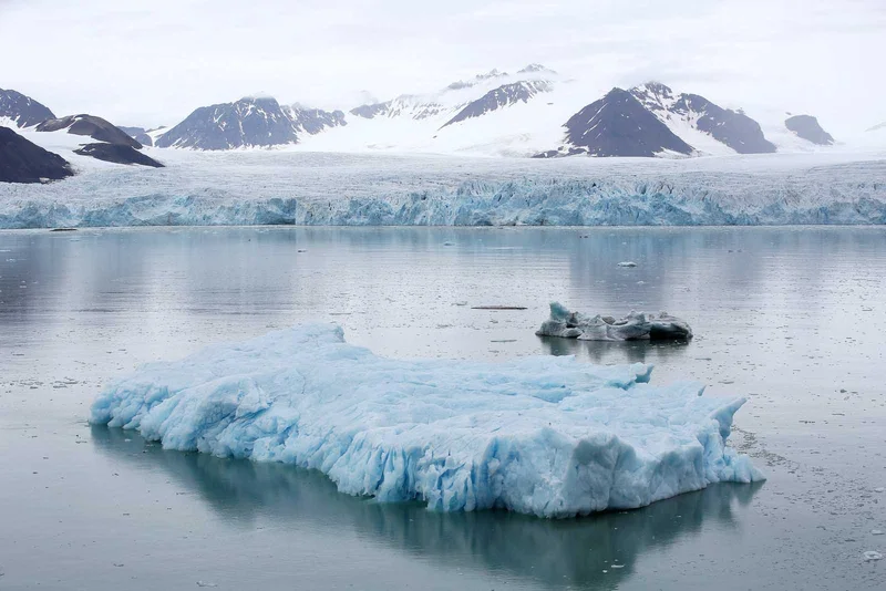 Svalbard: In Search of Iconic Arctic Wildlife