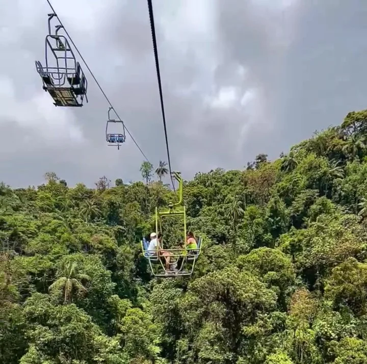 Day tour: Explore The Enchanting Mindo Cloudforest In Ecuador