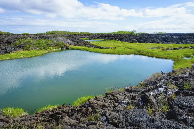 Maximizing Your Galapagos Experience: 10 Essential Pre and Post Cruise Activities