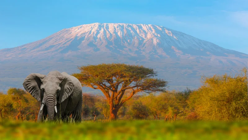 The Majestic Mount Kilimanjaro