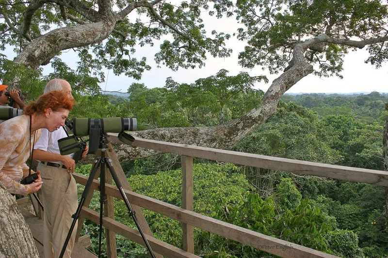 Photography Tour in the Amazon Rainforest of Ecuador