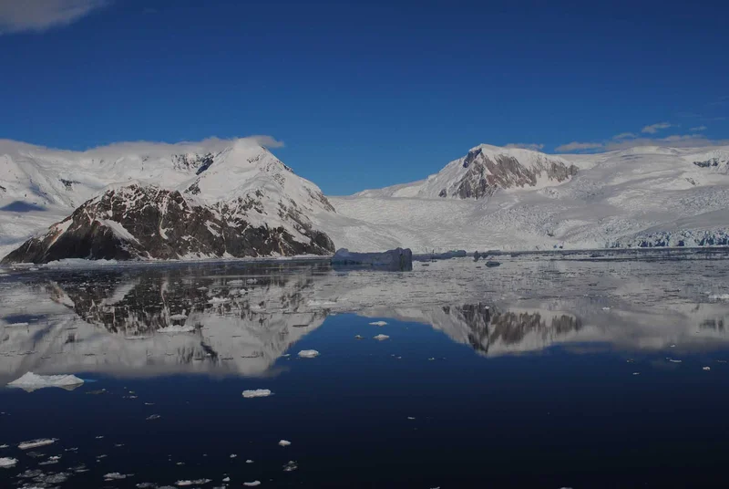 Best of Antarctica: In Depth