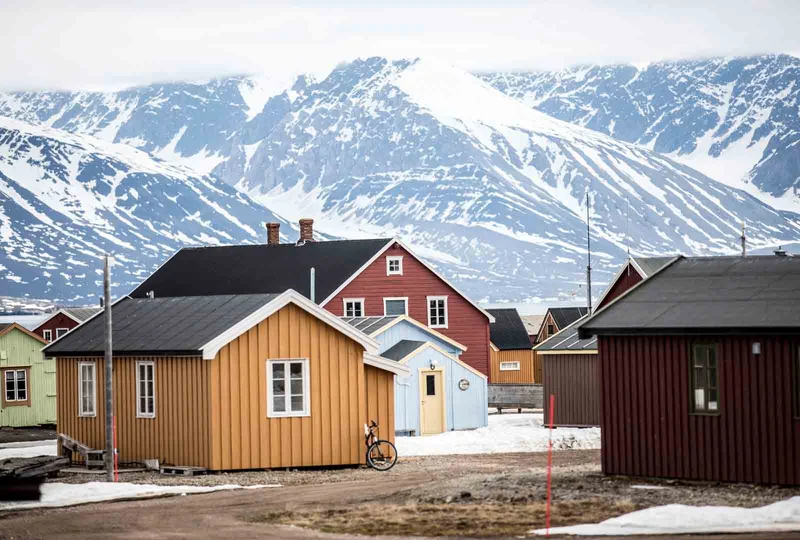 Svalbard in Spring: Arctic Wildlife, Light and Ice