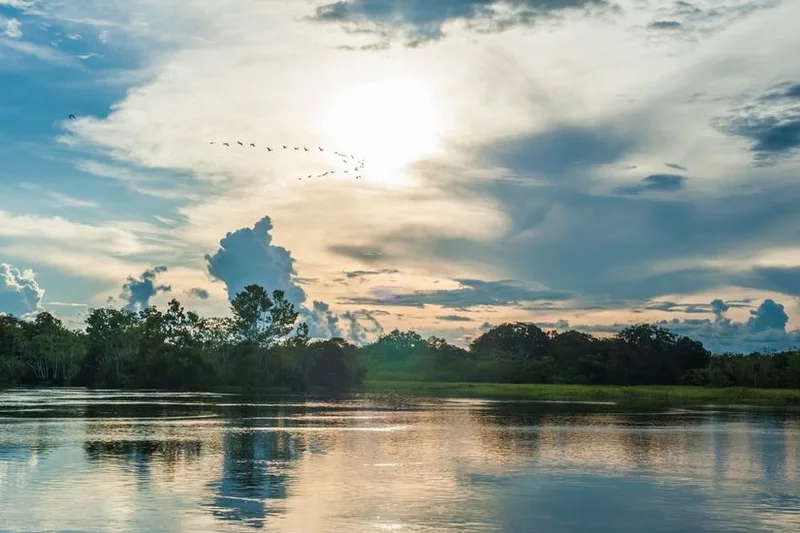 Pacaya Samiria National Reserve: Explore the Amazon's Hidden Gem Pacaya Samiria National Reserve: Explore the Amazon's Hidden Gem