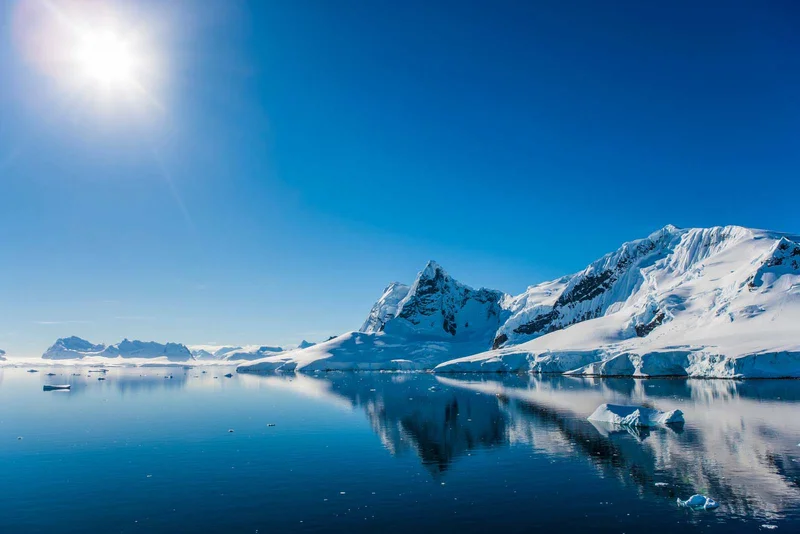 Antarctica & South Georgia Island