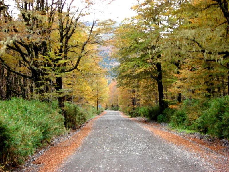 Parque Nacional Puyehue