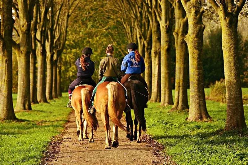 Peru Horseback Riding Tour