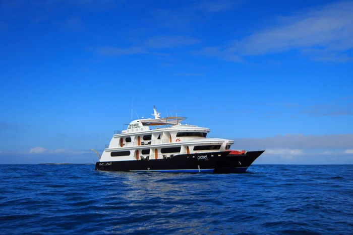 Petrel |  galapagos Cruise