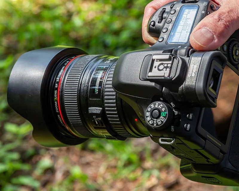 Photography amazon rainforest tour | Ecuador