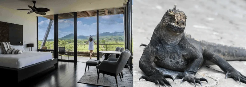 Explore the Untamed Beauty of Galapagos Islands Explore the Untamed Beauty of Galapagos Islands