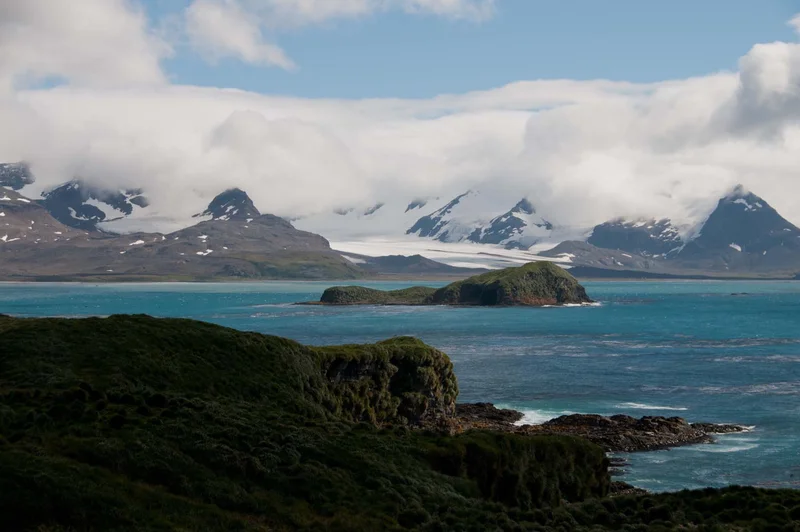 Epic Antarctica: Crossing the Circle via Falklands and South Georgia