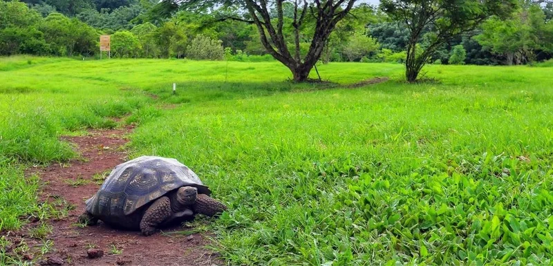 Galapagos Discovery Tour