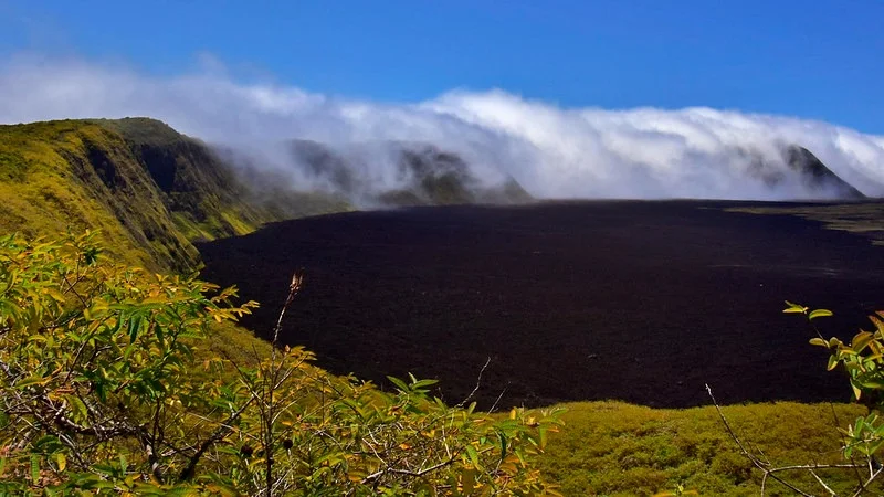 Itinerary West Galapagos