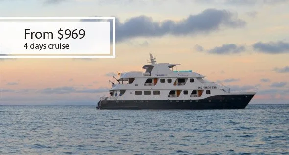 Galapagos Cruises