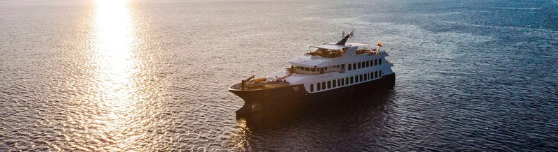 Theory | galapagos Cruise Theory | galapagos Cruise